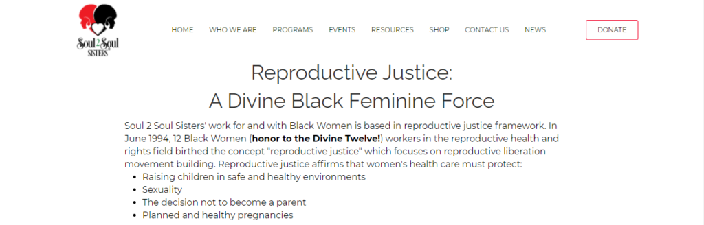 Image showing some text from the Soul 2 Soul Sister website talking about reproductive justice. Text can be found at https://soul2soulsisters.org/our-story/